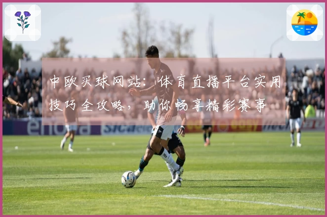 中欧买球网站：体育直播平台实用技巧全攻略，助你畅享精彩赛事