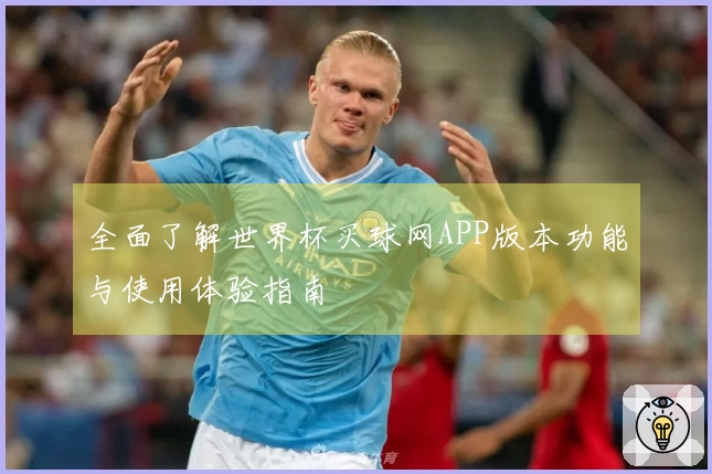 全面了解世界杯买球网APP版本功能与使用体验指南
