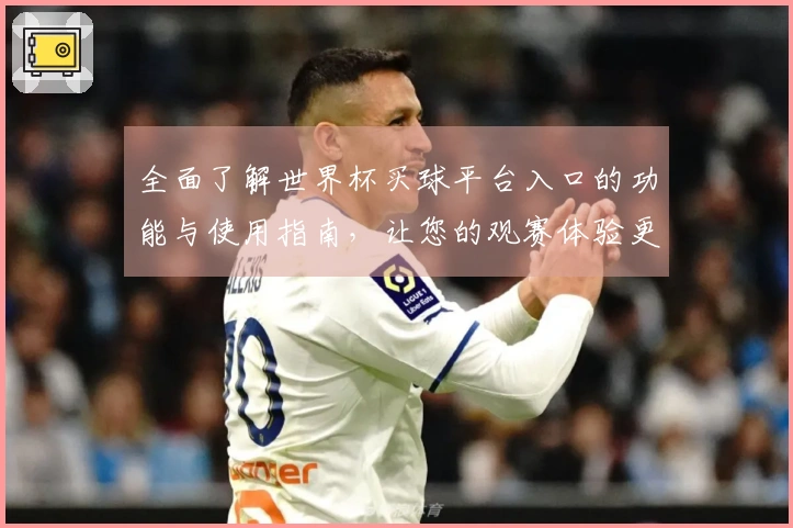 全面了解世界杯买球平台入口的功能与使用指南，让您的观赛体验更畅快