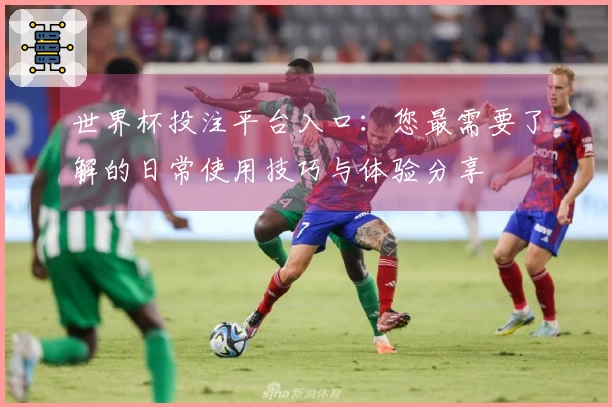 世界杯投注平台入口：您最需要了解的日常使用技巧与体验分享