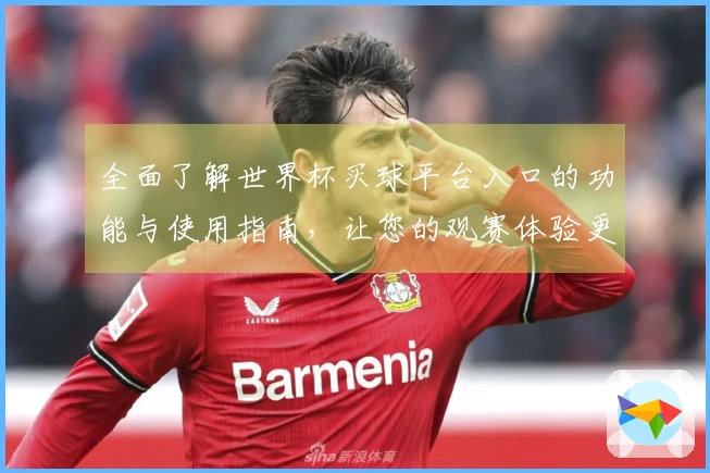 全面了解世界杯买球平台入口的功能与使用指南，让您的观赛体验更畅快