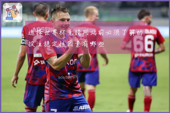 选择世界杯竞猜网站前必须了解的投注稳定性因素有哪些