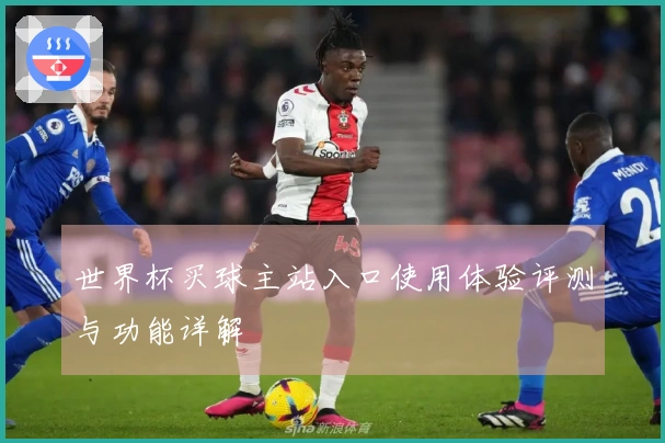 世界杯买球主站入口使用体验评测与功能详解