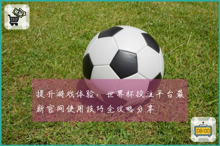 提升游戏体验，世界杯投注平台最新官网使用技巧全攻略分享