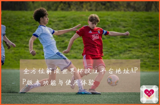 全方位解读世界杯投注平台地址APP版本功能与使用体验