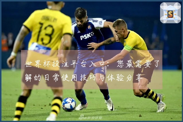 世界杯投注平台入口：您最需要了解的日常使用技巧与体验分享