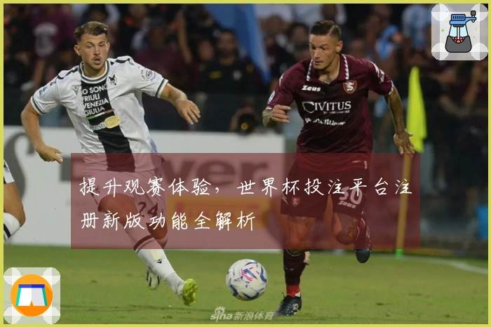 提升观赛体验，世界杯投注平台注册新版功能全解析